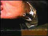watch-gun.jpg (4295 octets)