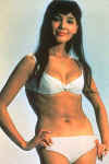 kissy_suzuki2.jpg (17321 octets)
